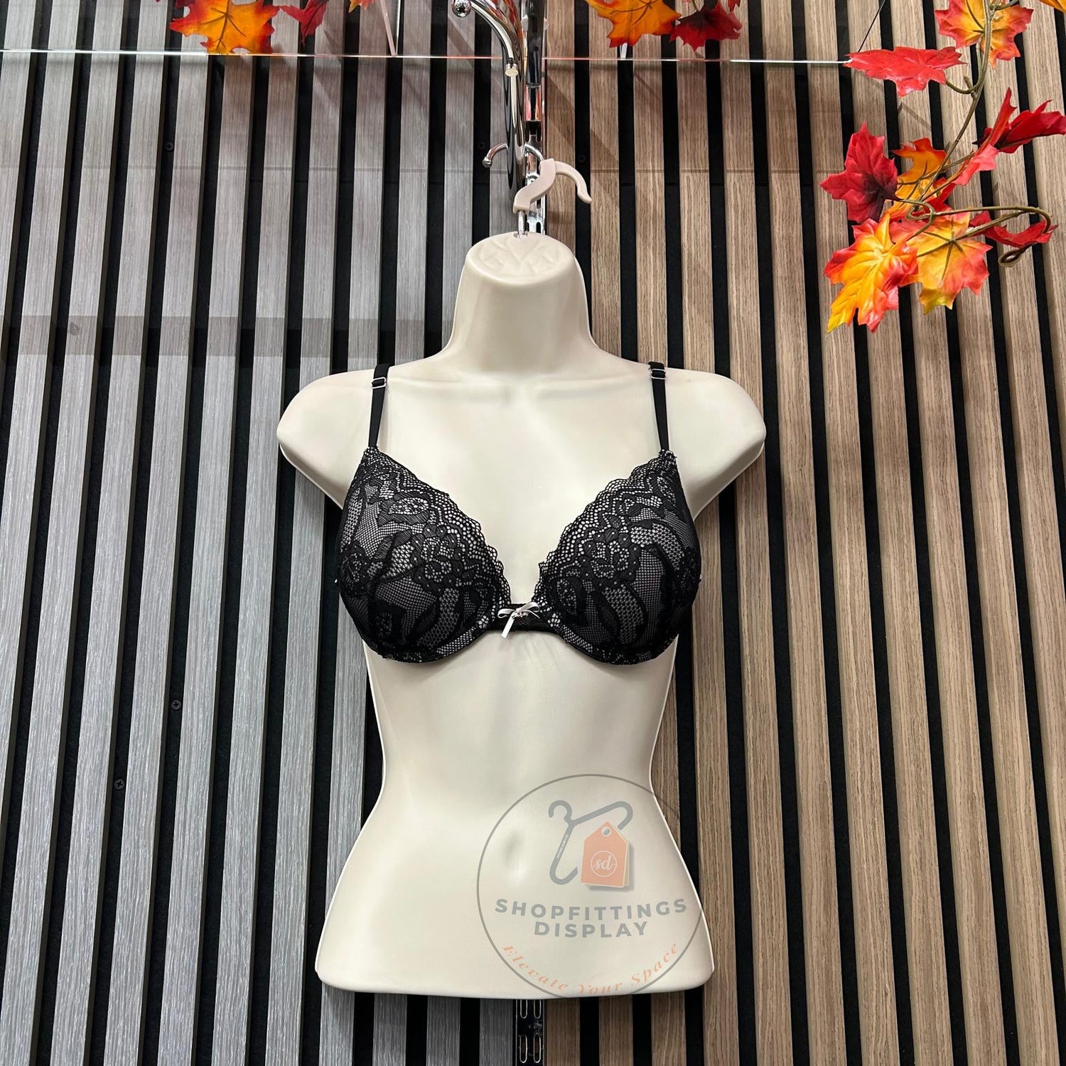 Female Torso