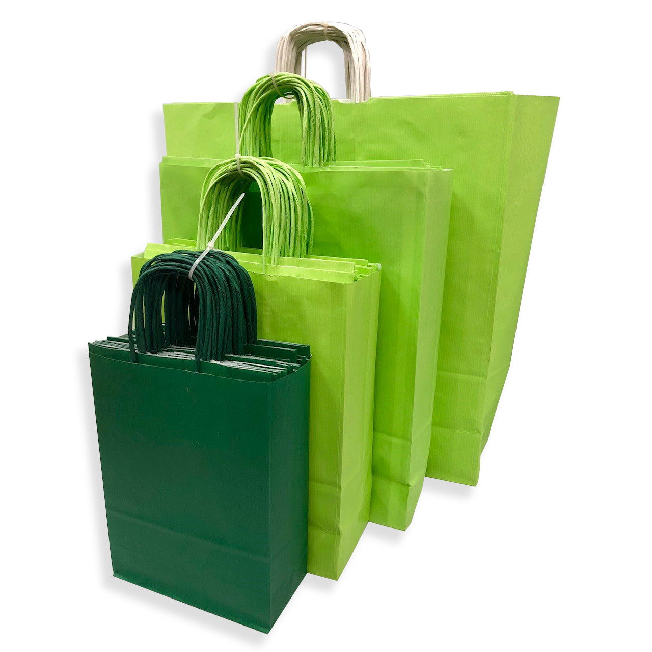 Green Paper Carrier Bags with Twisted Handles