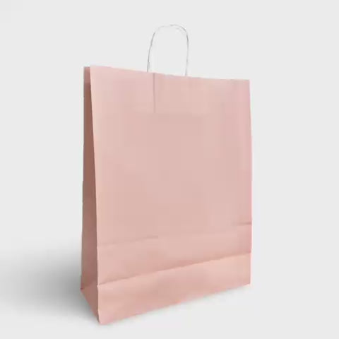 Baby Pink Paper Carrier Bags with Twisted Handles